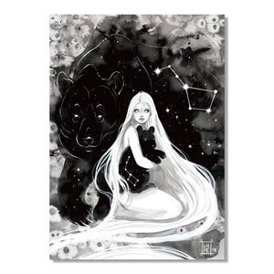 (NEW) Ursa Major/Minor Constellation